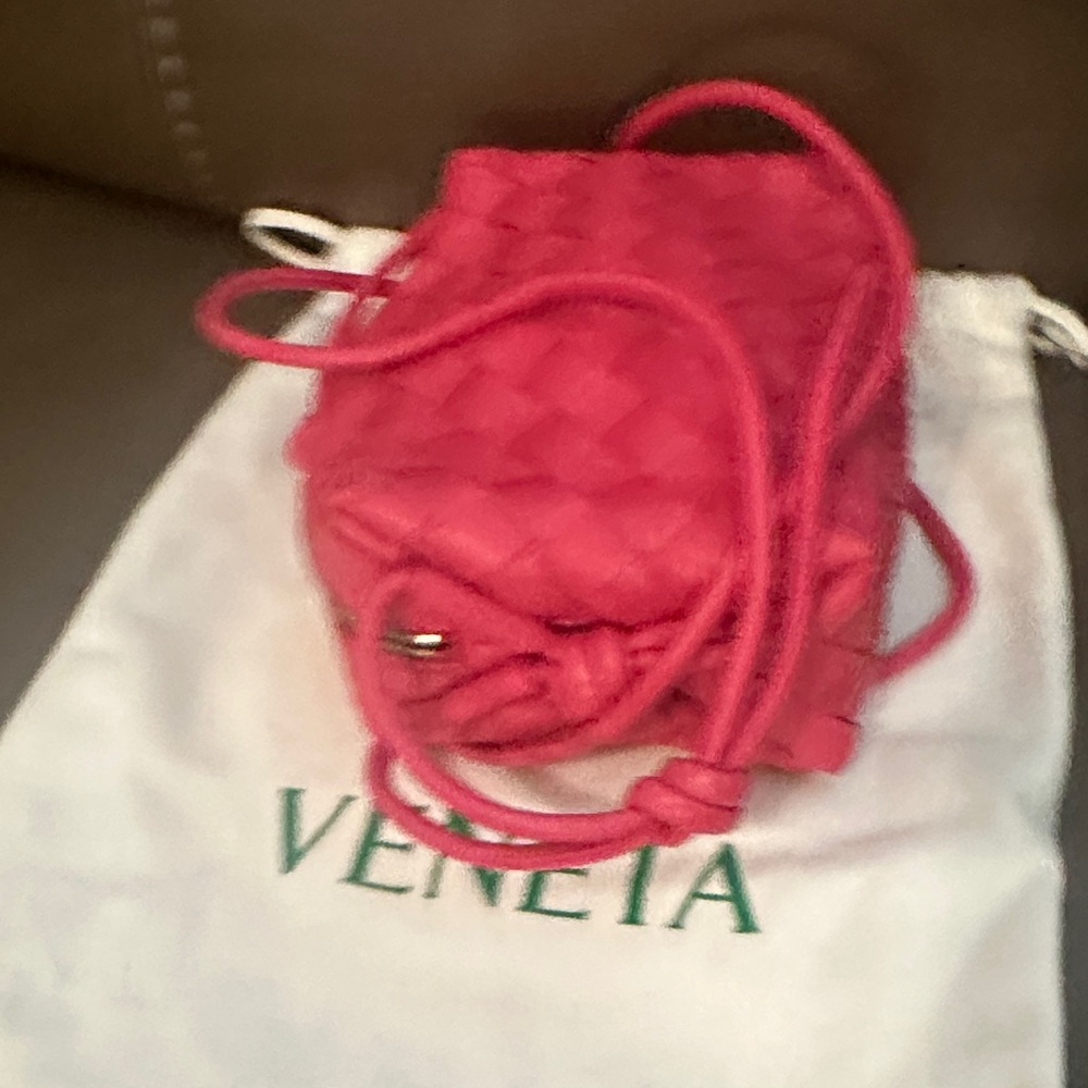 Bottega Veneta Mini Loop Bag - Picture 7 of 7